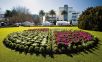New Zealand Garden Expo